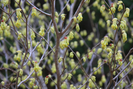 20110411_4.jpg