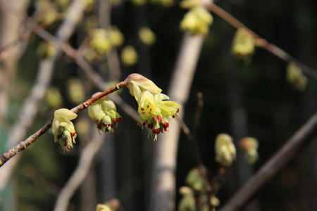 20110411_6.jpg