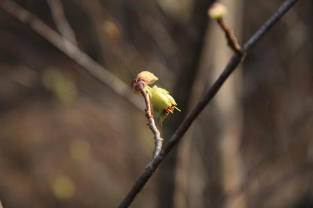 20110411_7.jpg