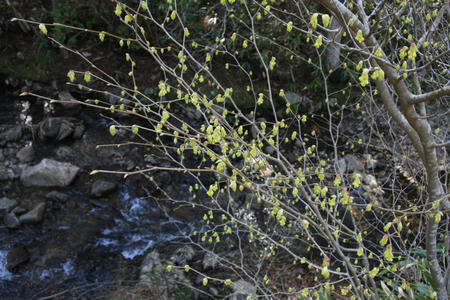 20110411_8.jpg