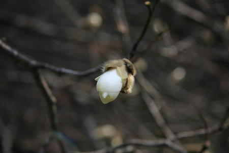20110411_9.jpg