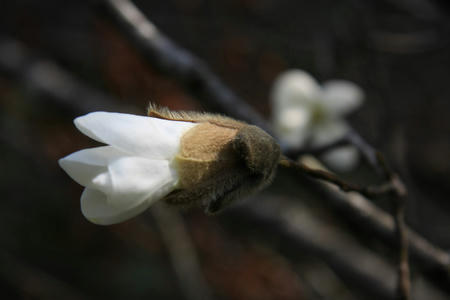 20110411_10.jpg