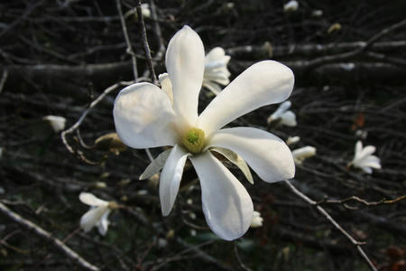 20110411_11.jpg