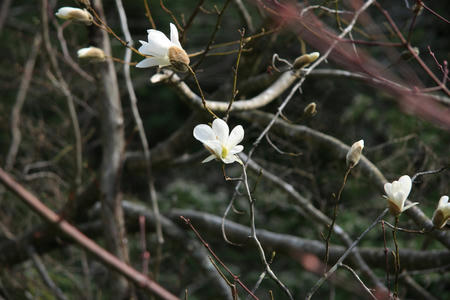 20110411_12.jpg