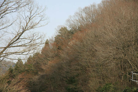 20110411_14.jpg