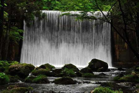 20110613_1.jpg