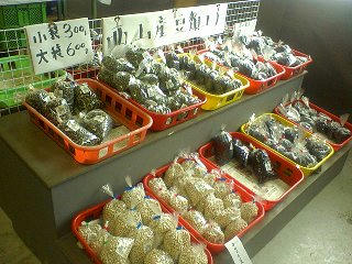 080217_1131_西山大豆フェア