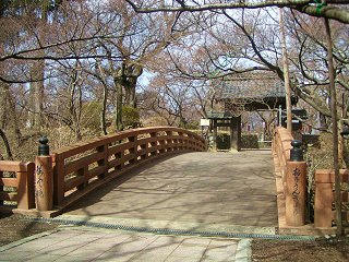 080329_0941_高遠城跡公園