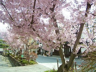 080412_0817_辰巳の庭公園