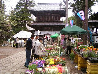 080420_1158_小布施・玄照寺の苗市