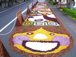 080504_0839_善光寺花回廊