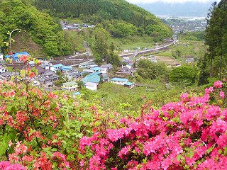 080511_1111_豊野つつじ山