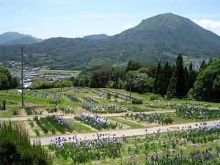 080601_1053_アイリスの郷