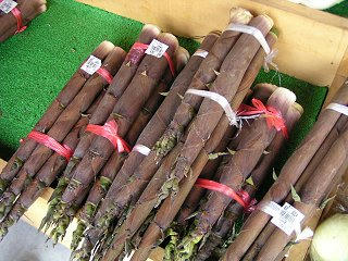 080608_1043_さんさん市場（小川村）