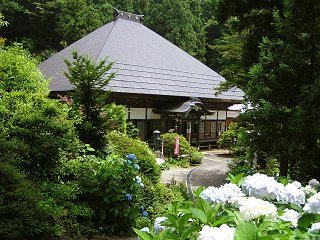 080720_1144_園城寺のあじさい