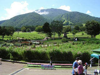 080831_1219_黒姫高原コスモス園（信濃町）