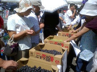 080914_1200_すこうぶどう祭り２００８（須坂市）