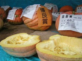 080921_0939_ジャンボカボチャコンクール(上水内郡中条村）