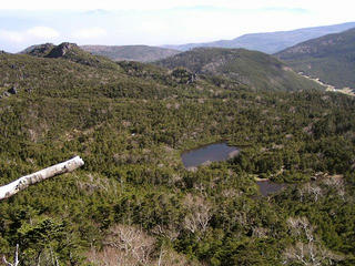 071103_1215_北横岳から大岳に向かう登山道から撮影した七ッ池