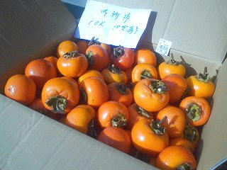 081102_1422_干し柿用の渋柿（小川村）