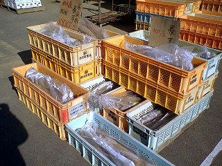 071117_1254_松代町東寺尾の長いも直売所（長野市）