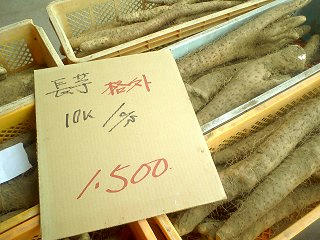 081116_1125_松代長いもまつり（長野市）