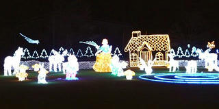 081121_2150_樫山工業イルミネーション（佐久市）