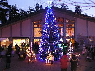 081129_1653_国営アルプスあづみの公園（安曇野市）