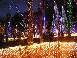 081129_1700_国営アルプスあづみの公園（安曇野市）