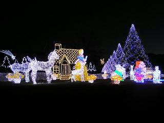 081206_1708_佐久平イルミネーション（佐久市）