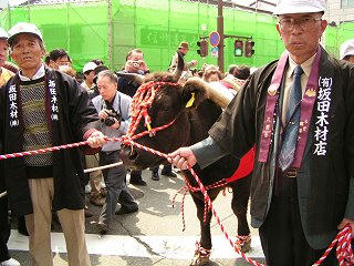 030330_1236_善光寺御開帳・回向柱行列（中央通り）