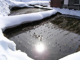 090118_1237_龍興寺清水周辺（木島平村）