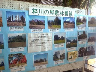 090311_1054_梓川の屋敷林・県合同庁舎（松本市）