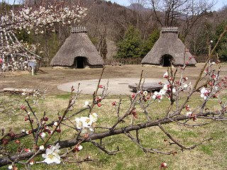 090321_1202_宮遺跡（中条村）