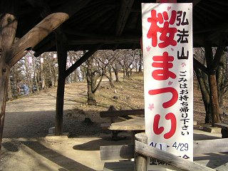 090404_0723_弘法山古墳のさくら（松本市）