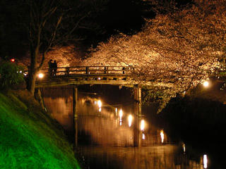 090408_2144_松本城のライトアップ（松本市）