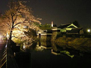 090408_2145_松本城外堀沿いの桜並木ライトアップ（松本市）