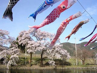 090418_0735_塩尻市中西条のこいのぼり（塩尻市）