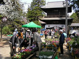 090419_1412_玄照寺の苗市（小布施町）