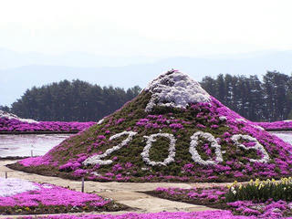090429_0935_小沢の芝桜（伊那市）