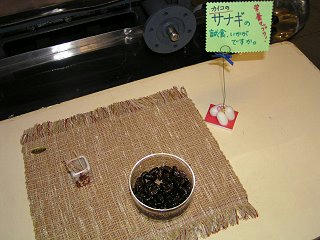 090429_1056_シルクフェア in おかや（岡谷市）