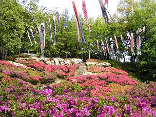 090503_0920_第３１回台城つつじ祭り（松川町）