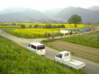 090505_1230_道の駅花の駅千曲川前の菜の花（飯山市）