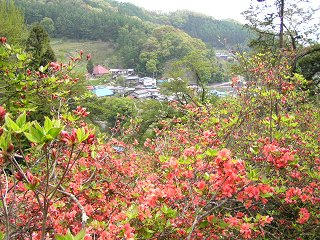 090505_1028_1_豊野つつじ山公園（長野市）