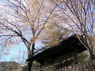 090418_1039_中山道福島宿上の段（木曽町）