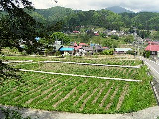 090523_1100_1_鬼無里菖蒲園（長野市鬼無里）