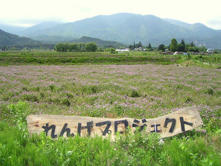 090523_1359_安曇野堀金「れんげの里」づくりプロジェクトチーム」（安曇野市）