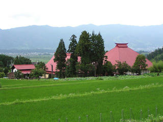 090711_1445_稲泉寺の蓮遠景（木島平村）