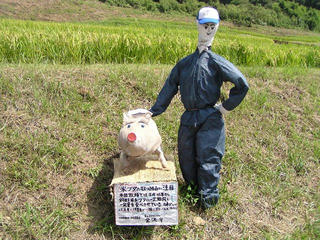 090906_1101_稲倉棚田（上田市）