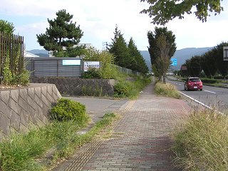 090921_1529_県道沿いの雑草（長野市）